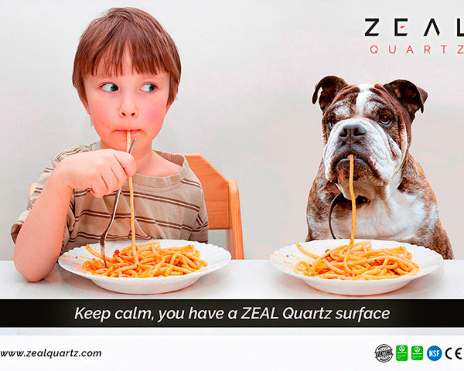 m_cartel_2019-03_zeal-niño-perro-espaguetis-divertido