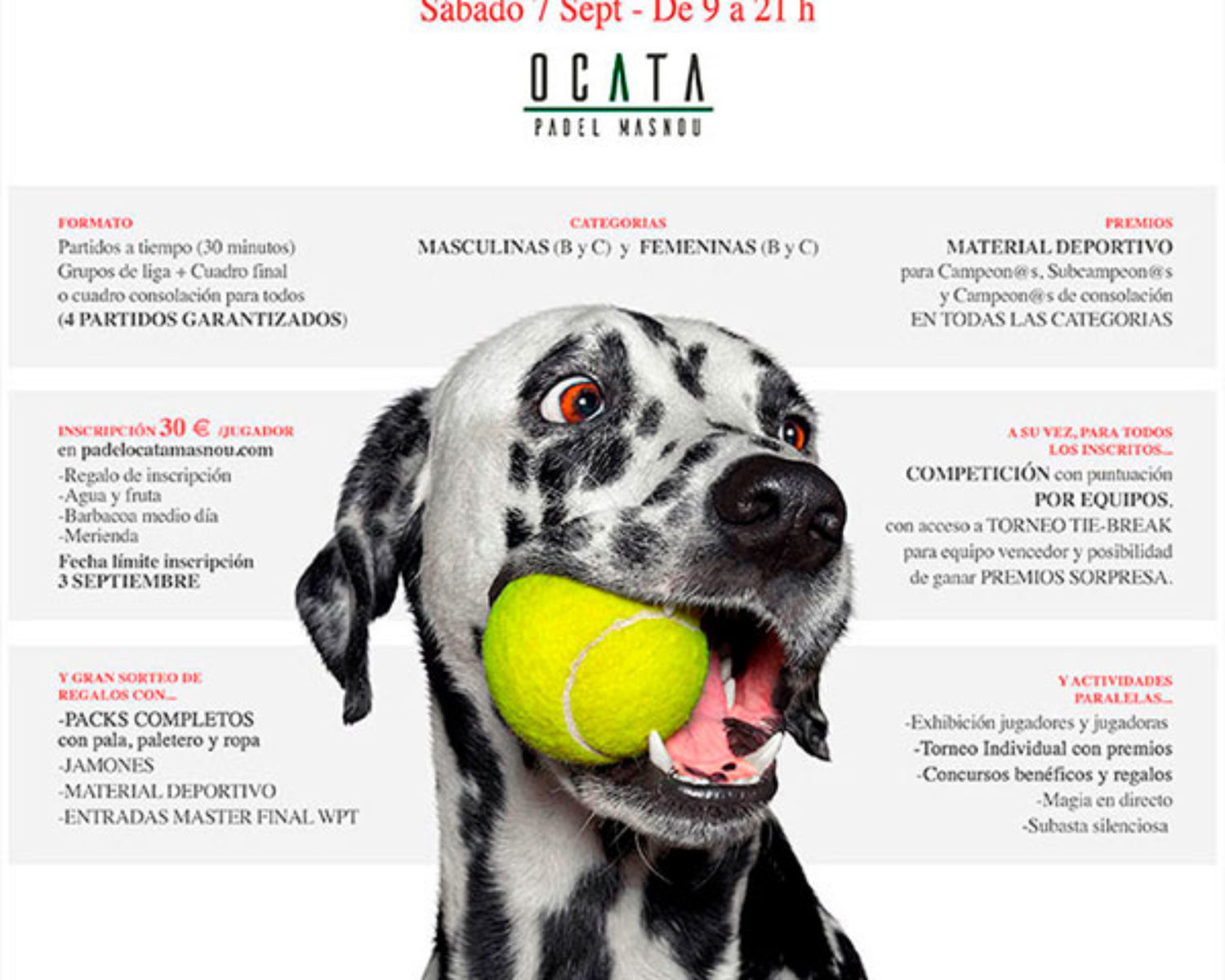 m_cartel_2019-09_sos4patas-torneo-benefico-padel-barcelona-perro-dalmata