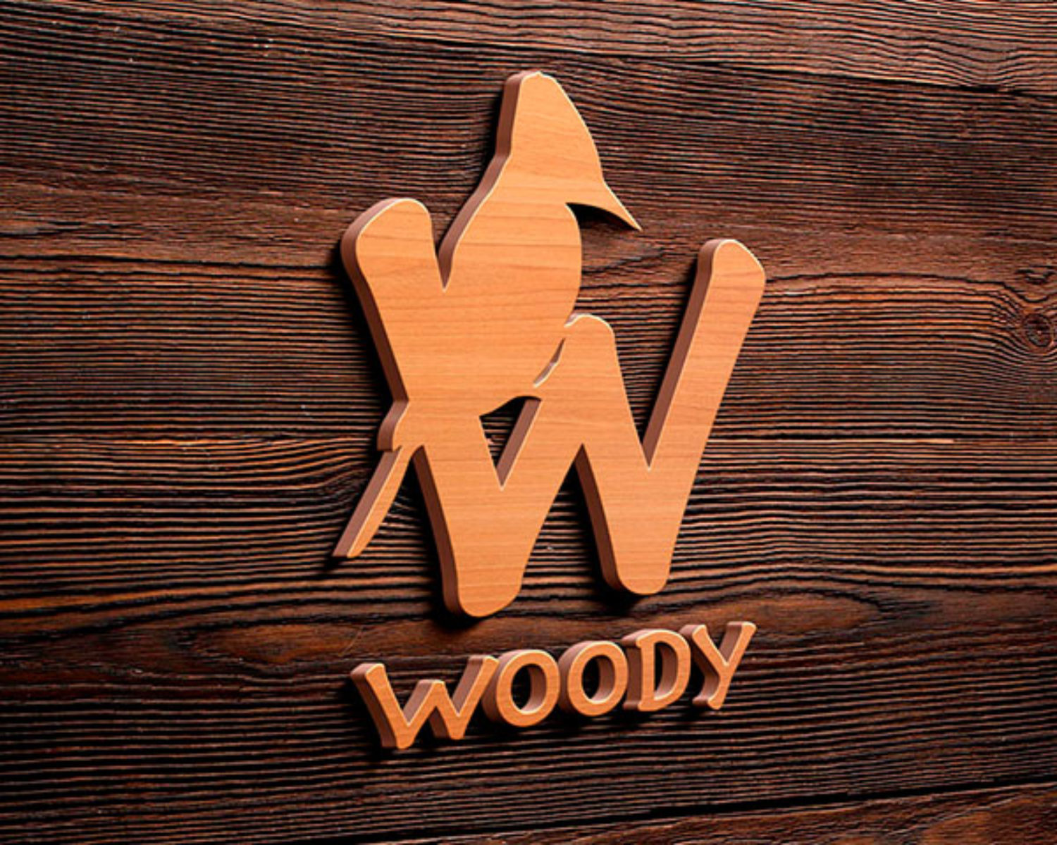 m_marca_2017-05_logo-branding-bricolaje-madera_woody