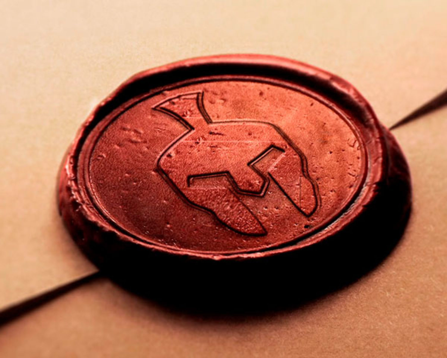 m_marca_2018-01_logo-branding-fitness-gym_workbox