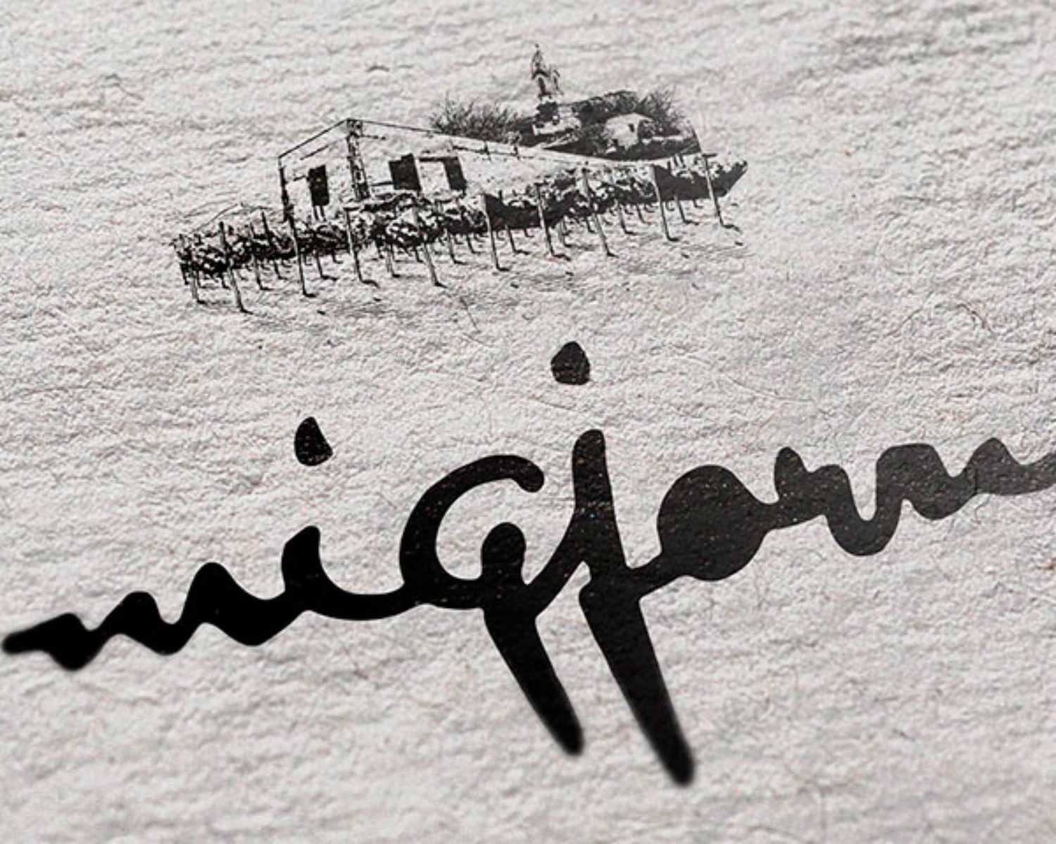 m_marca_2019-08_logo-branding-vino-spain_migjorn