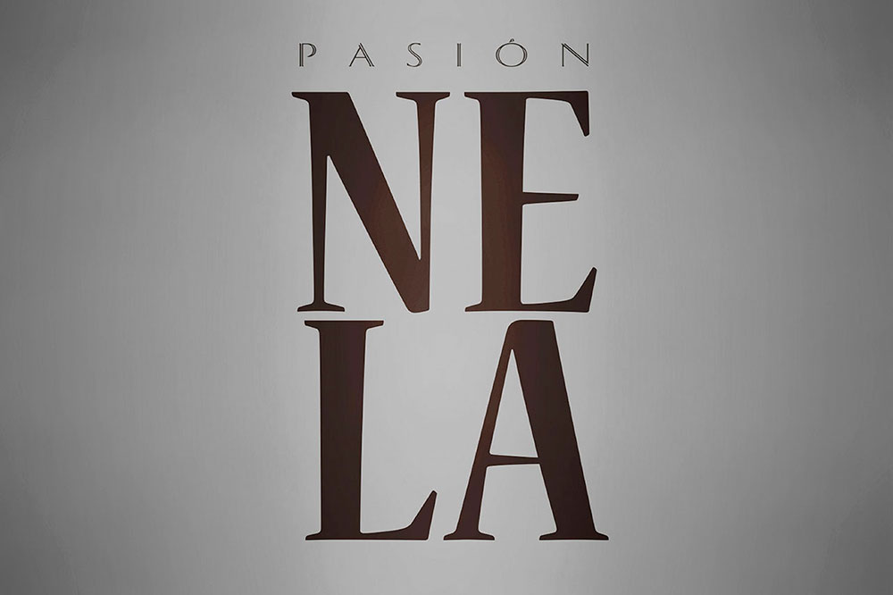 marca_2015-11_logo-branding-vino_spain_pasionnela_1