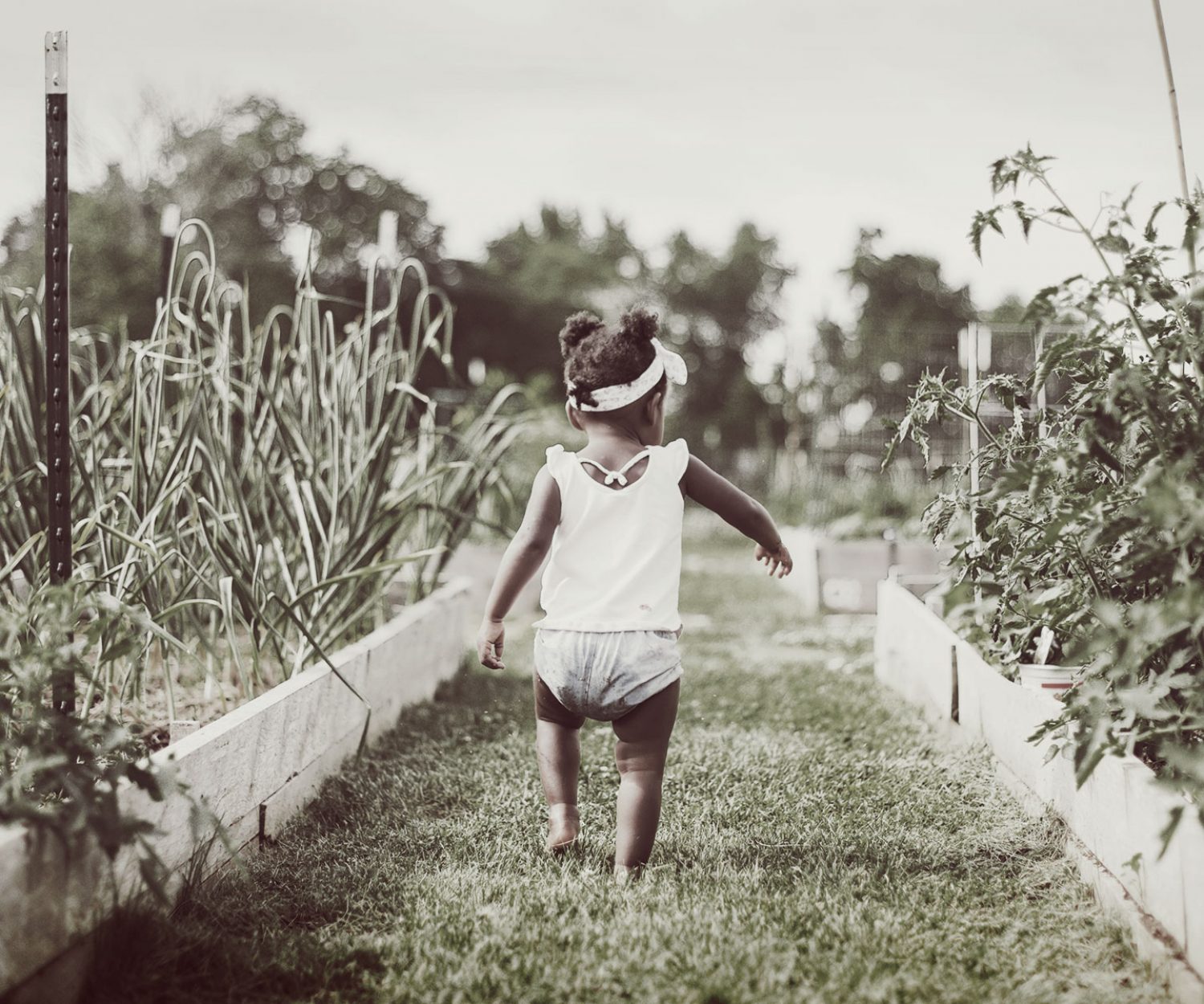 blog_elviaje_niño_caminando_huerto