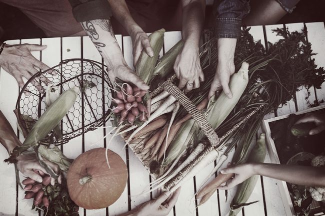 blog_elviaje_productos_naturales_sostenibilidad_huerto